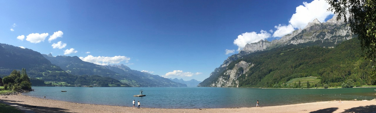 Bacterial chemosensory arrays provide cells a critical sense of smell