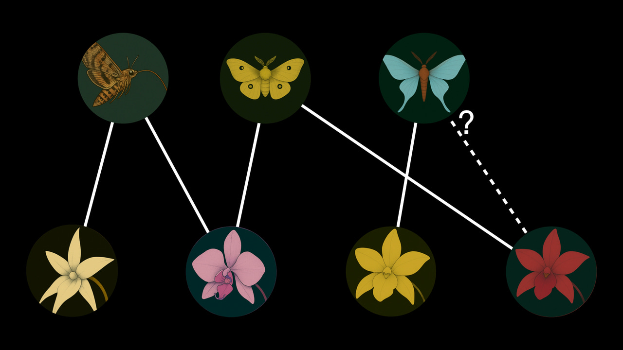 Unraveling Hidden Connections: Predicting Links to Illuminate Ecological Networks