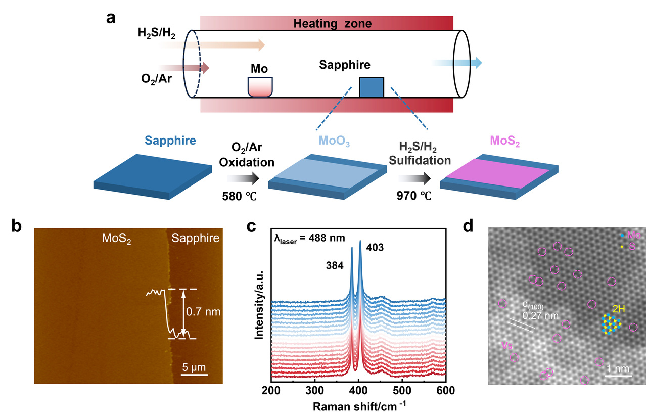 Defect‑engineered liquid‑gated MoS₂  field‑effect transistor for pH Sensing