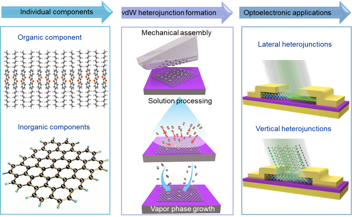 Van der Waals heterojunctions of 2D organic–inorganic materials for high-performance photodetectors