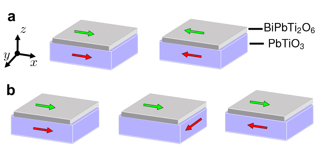 Design of a multifunctional polar metal via high-throughput structural screening