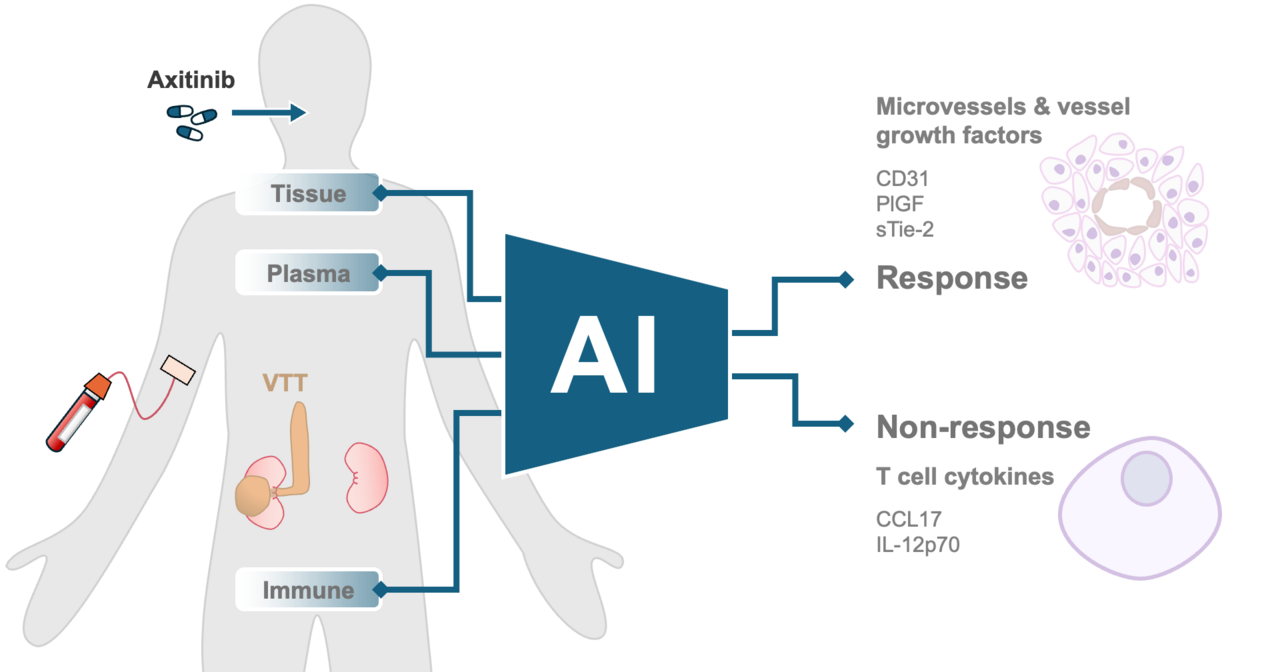 Angiogenic and immune predictors of  neoadjuvant axitinib response in renal cell  carcinoma with venous tumour thrombus