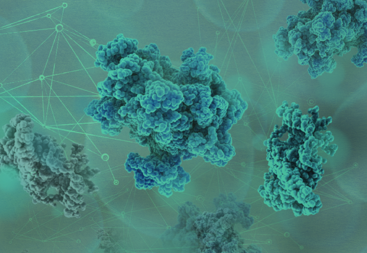 Multiplexed phosphoproteomics of low cell numbers