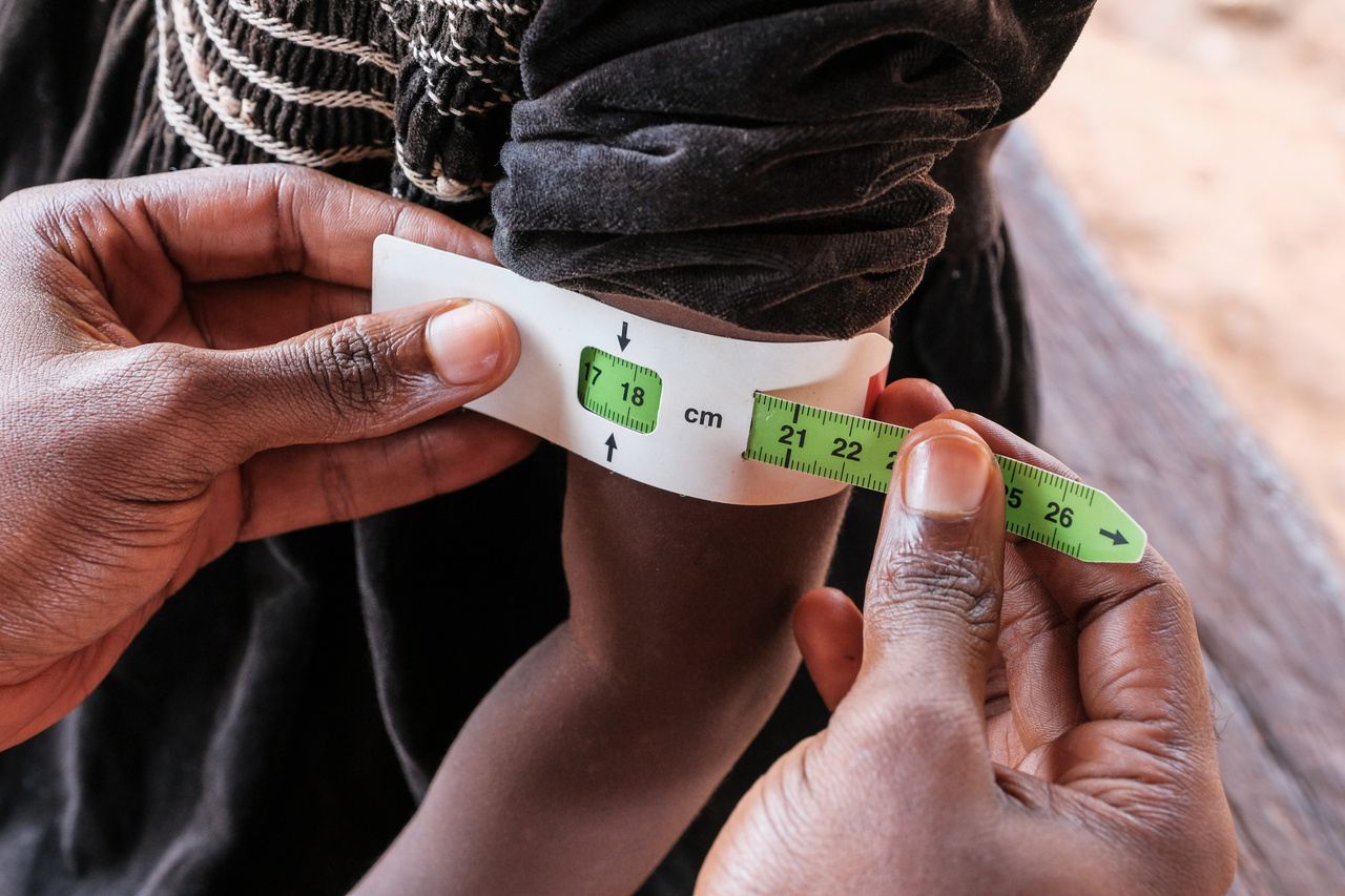 Household Survey Data Matters: New Insights into the Geography of Data Quality across 35 African Countries