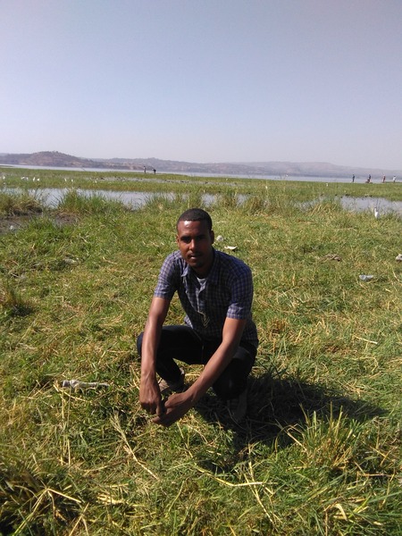 Go to the profile of Ashebir Awoke