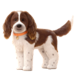 Go to the profile of Spring