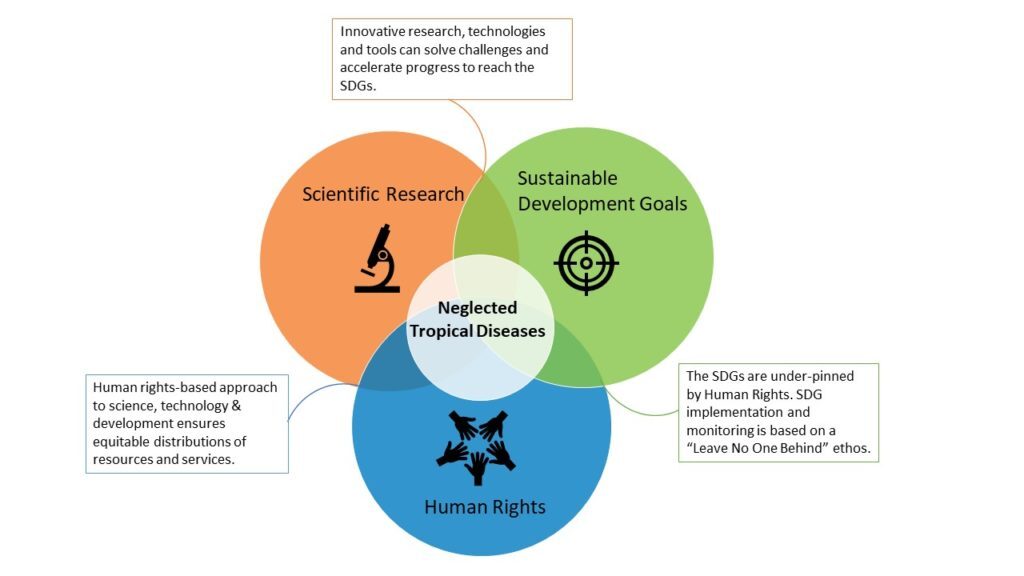 Project Outline: Analysing the impact of the Global Network for Neglected Tropical Diseases on ECRs to promote leishmaniasis and chagas disease research in endemic countries.  
