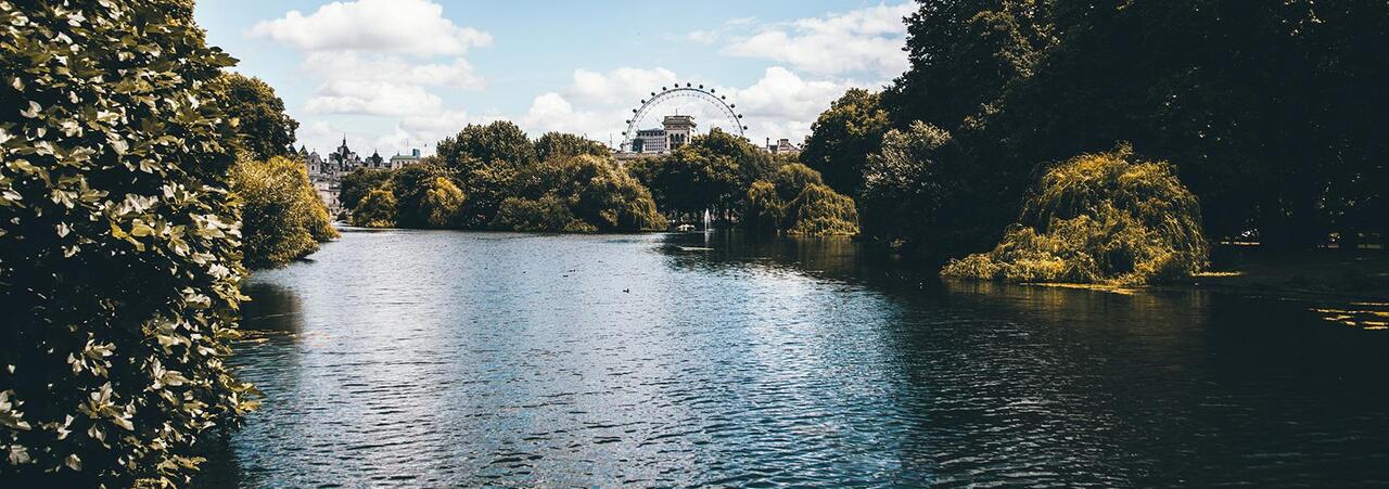 A Summer in Climate-Tech (LiA Reflection)