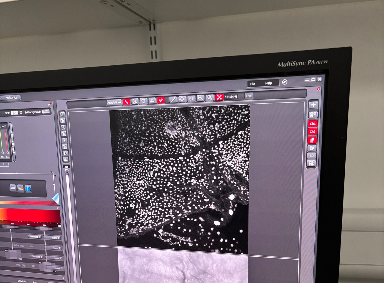 Same Old, Something New? - Week 4