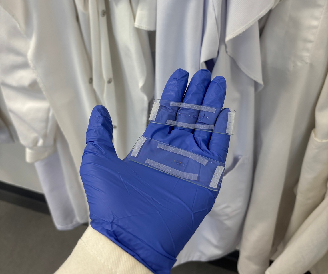 Saying Bye Fly - Beyond Week 6