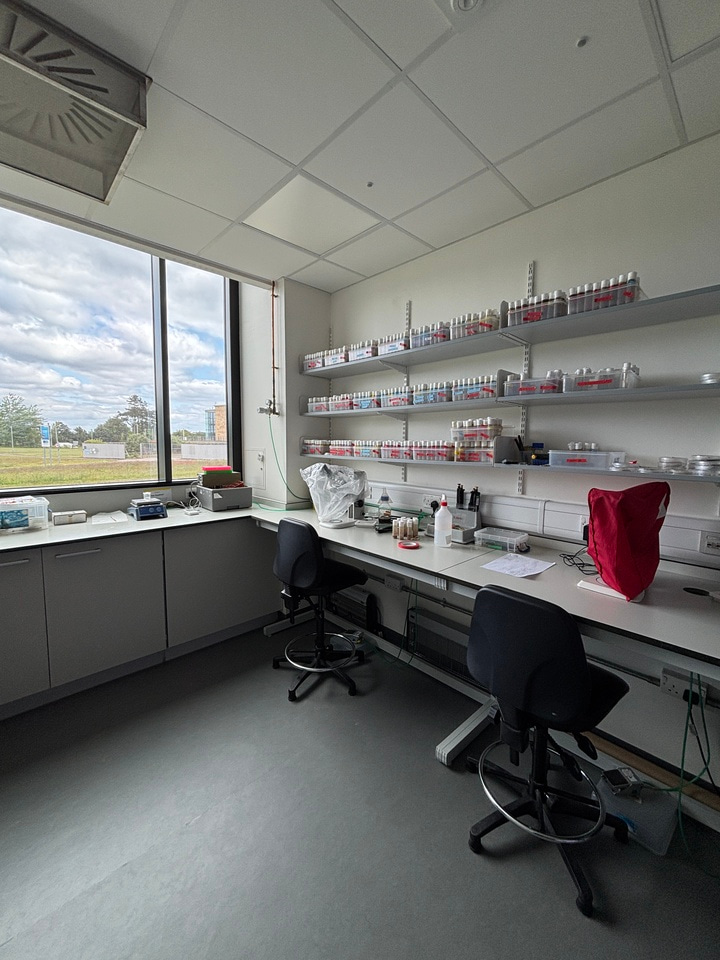 At the Scalpel's Edge - Week 1