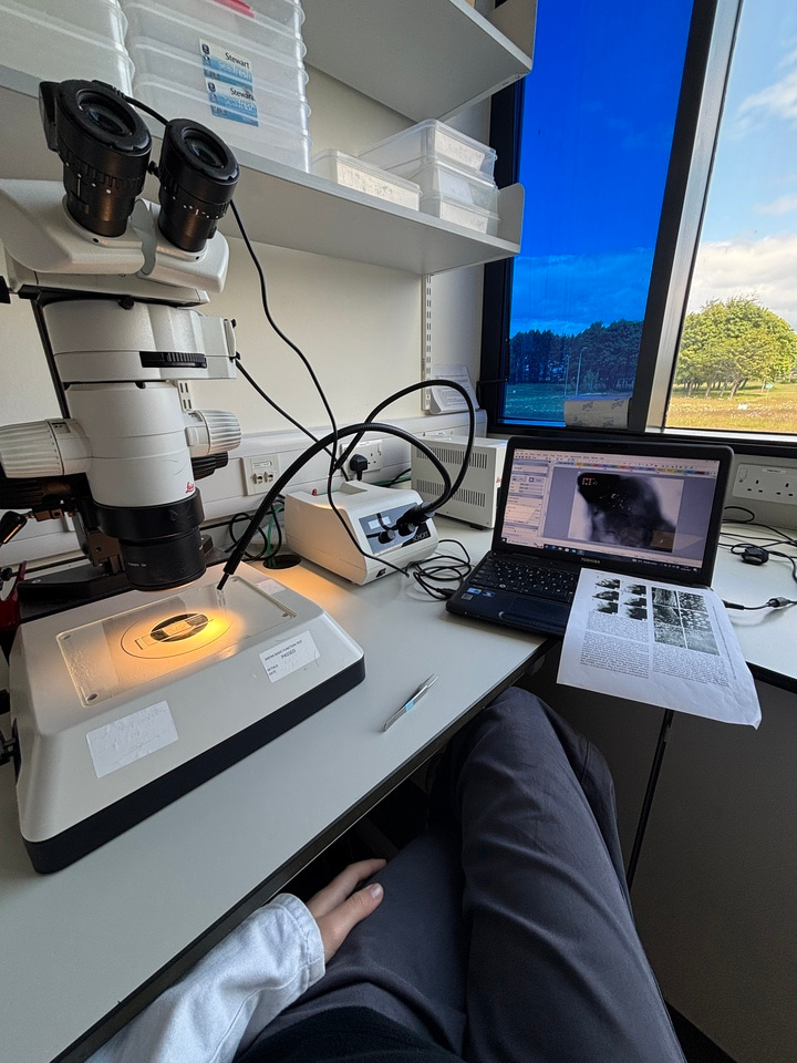 Observe, Dissect, Repeat - Week 2