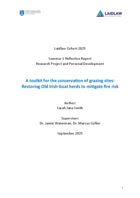 Reflective Report Essay