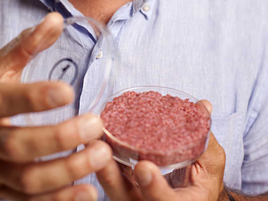 Engineering Alginate–Pectin Hydrogels for Scalable Cultivated Meat