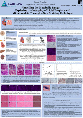 Research Poster - Unveiling the Metabolic Tango: Exploring the Interplay of Lipid Droplets and Mitochondria through a New Staining Technique 