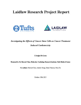 Laidlaw Research Project Report - Investigating the Effects of Cancer Stem Cells on Cancer Treatment Induced Cardiotoxicity