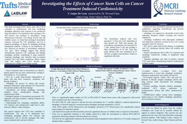 Research Poster - Investigating the Effects of Cancer Stem Cells on Cancer Treatment Induced Cardiotoxicity