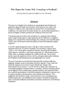 Research Proposal: Who Shapes the Cosmic Web (Cosmology or Feedback)?