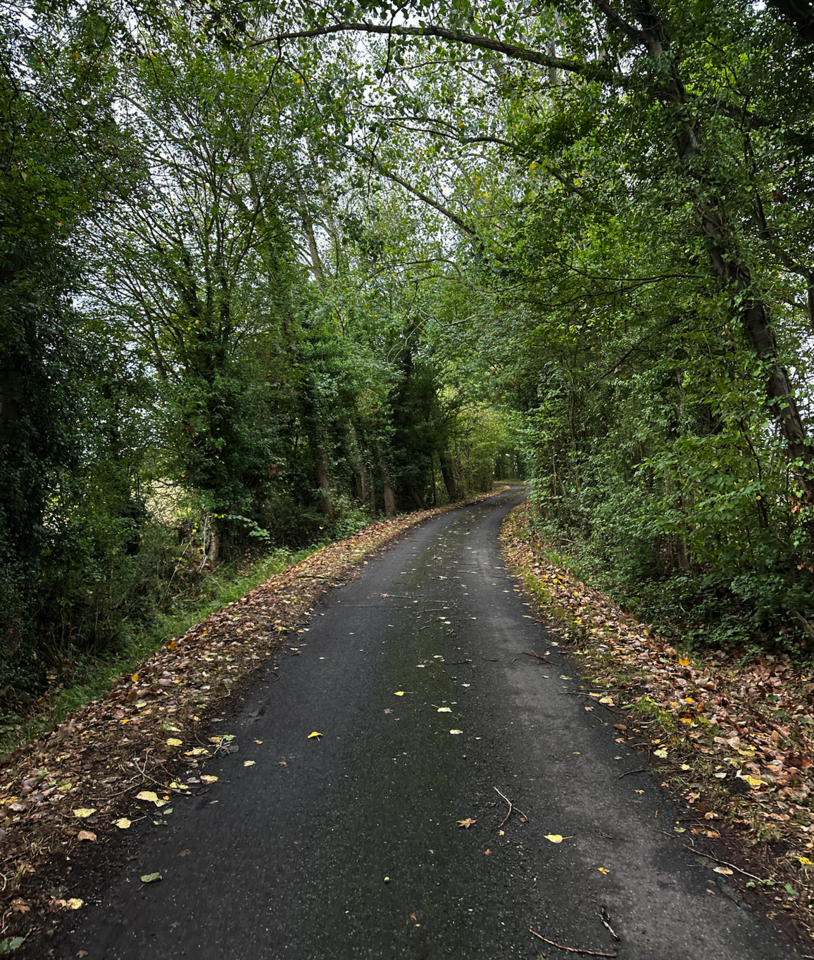 Switching Gears: The Impact of My Leadership-in-Action Project