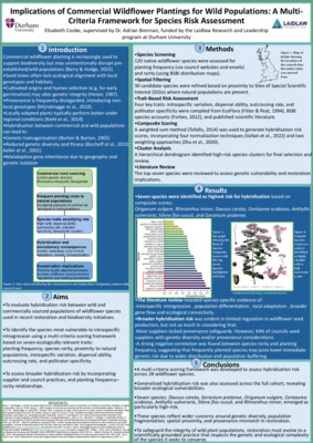 Research Poster:  Implications of Commercial Wildflower Plantings for Wild Populations: A Multi-Criteria Framework for Species Risk Assessment