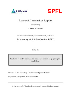Research report: Analysis of hydro-mechanical response under deep geological conditions