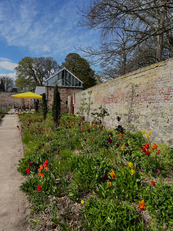 I found something, potentially. (08/06/2025)