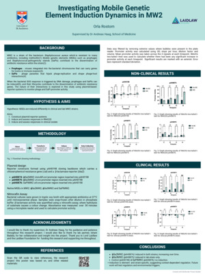 Research Poster - Investigating Mobile Genetic Element Induction Dynamics in MW2