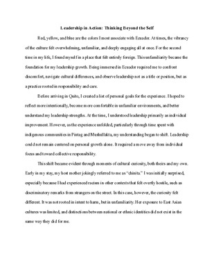 LiA Essay