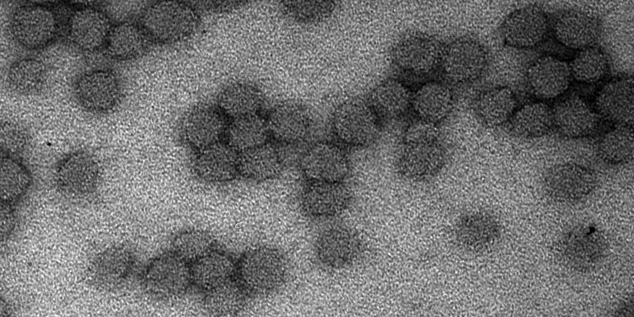 ENTERing cells: Designing protein nanoparticles for delivery of nucleic acids and proteins