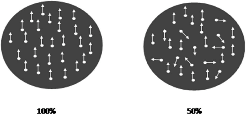 Project Outline: Association of Perceptual Confidence and Mental Imagery