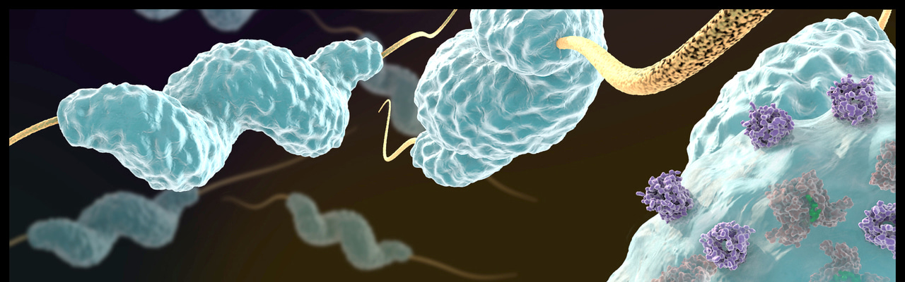 Would you volunteer to have a bacterial infection?