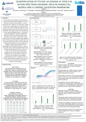 Summer Research Poster