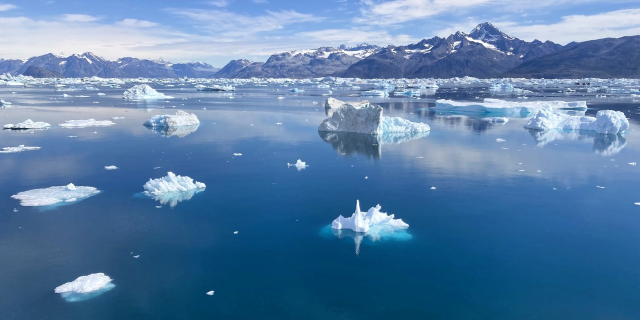 What DNA from the bottom of the sea can tell us about the history of marine mammals in the Arctic