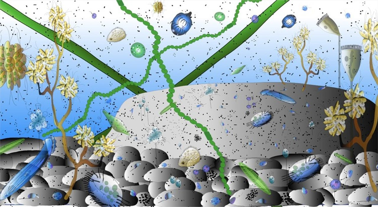 Primed, sealed, and delivered: How protozoa package and prepare pathogens for host infection