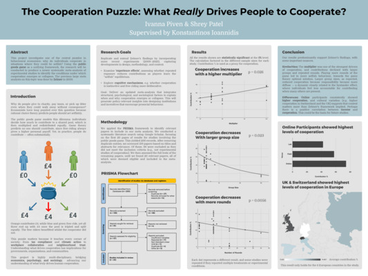 The Cooperation Puzzle Poster 