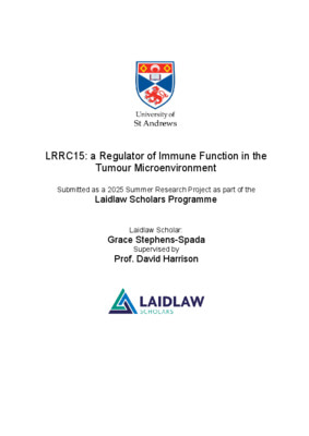 Laidlaw Research Essay 2025 - Grace S-S