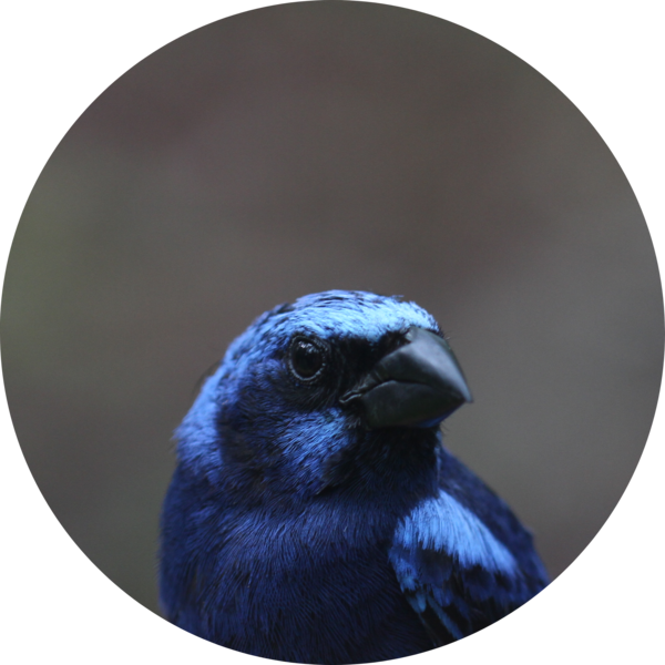 Go to the profile of Abbie