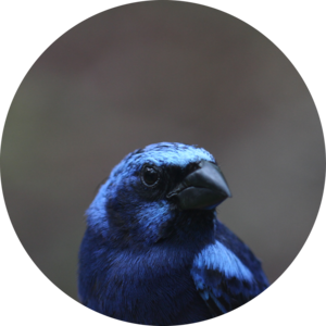 Go to the profile of Abbie