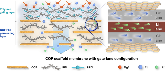 COF Scaffold Membrane with Gate‑Lane Nanostructure for Efficient Li+/Mg2+ Separation