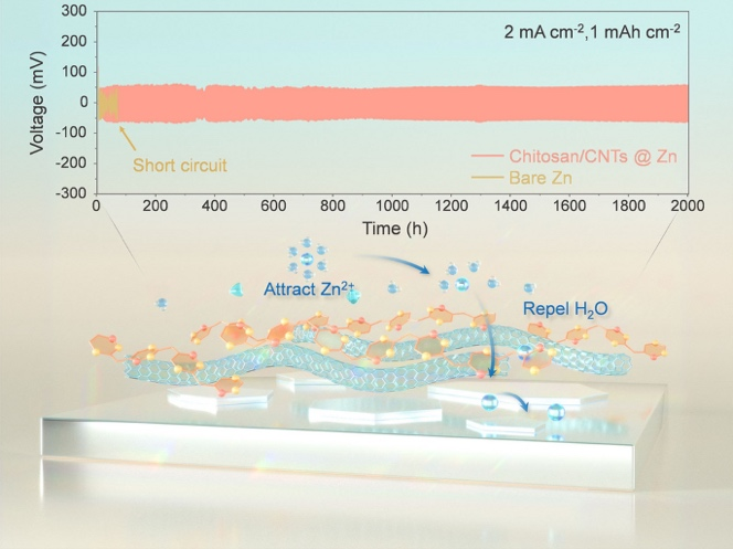 Scalable and Sustainable Chitosan/Carbon Nanotubes Composite Protective Layer for Dendrite‑Free and Long‑Cycling Aqueous Zinc‑Metal Batteries