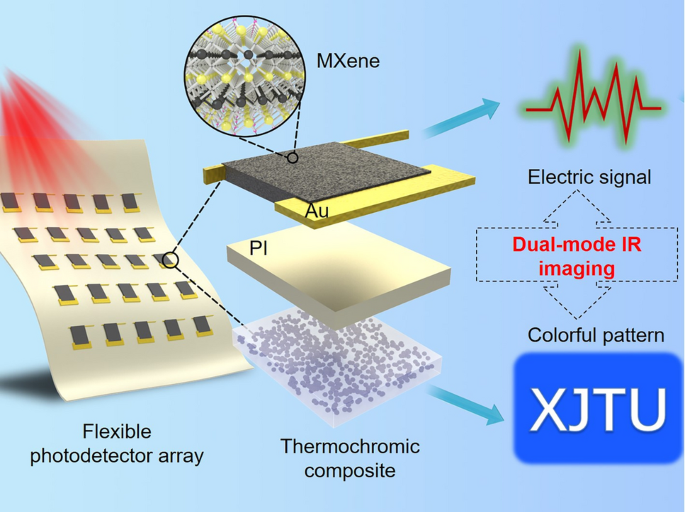 A Flexible Dual‑Mode Photodetector for Human–Machine Collaborative IR Imaging