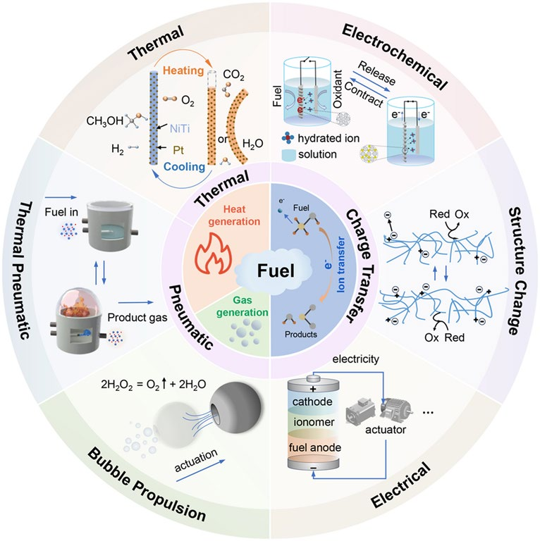 Fuel-Powered Soft Actuators: Emerging Strategies for Autonomous and Miniaturized Robots