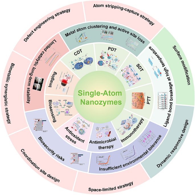 Innovative Strategies to Overcome Stability Challenges of Single‑Atom Nanozymes
