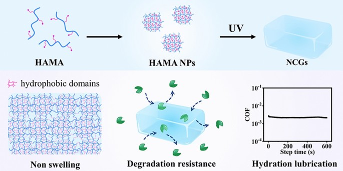Nonswelling Lubricative Nanocolloidal Hydrogel Resistant to Biodegradation