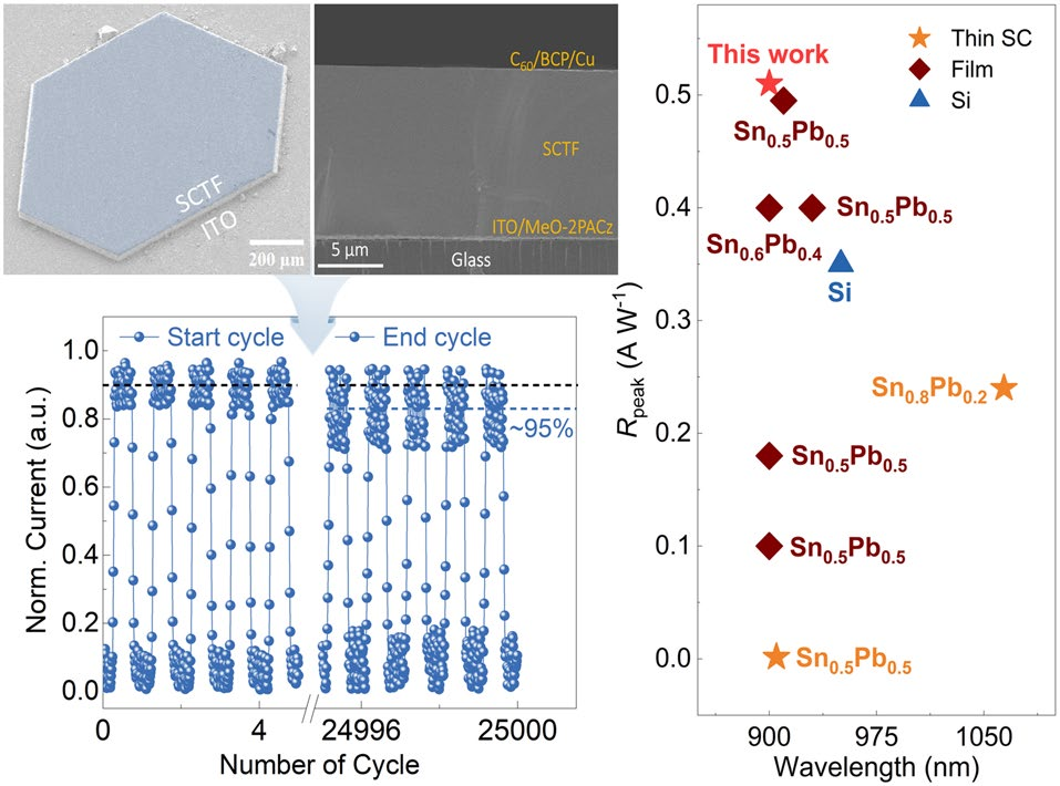 Monolithic Integration of Redox-Stable Sn–Pb Halide Perovskite Single-Crystalline Films for Durable Near-Infrared Photodetection