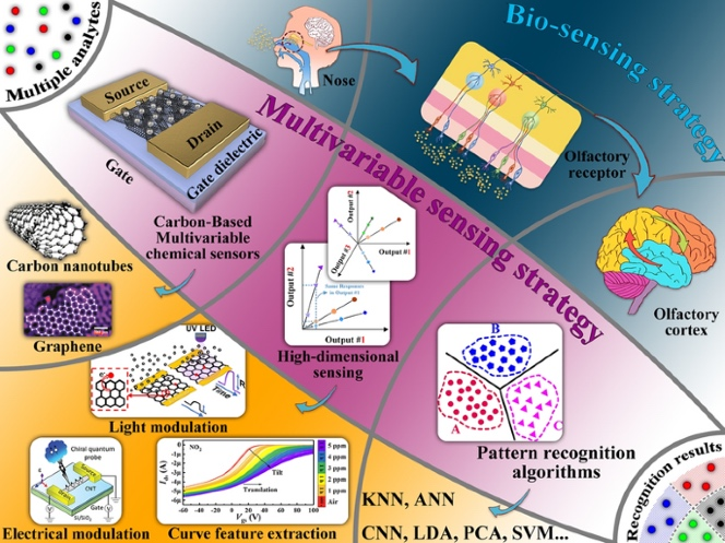 Applications of Carbon-Based Multivariable Chemical Sensors for Analyte Recognition