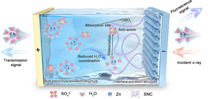 Achieving Ah‑Level Zn–MnO2 Pouch Cells via Interfacial Solvation Structure Engineering