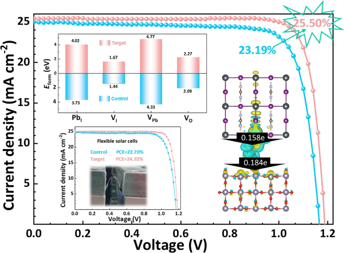 Self-Regulated Bilateral Anchoring Enables Efficient Charge Transport Pathways for High-Performance Rigid and Flexible Perovskite Solar Cells