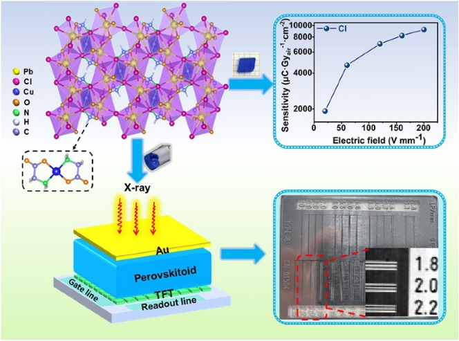 Face‑/Edge‑Shared 3D Perovskitoid Single Crystals with Suppressed Ion Migration for Stable X‑Ray Detector