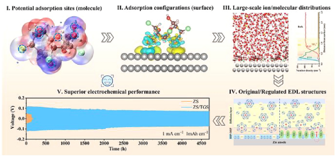 Multiscale Theoretical Calculations Empower Robust Electric Double Layer Toward Highly Reversible Zinc Anode